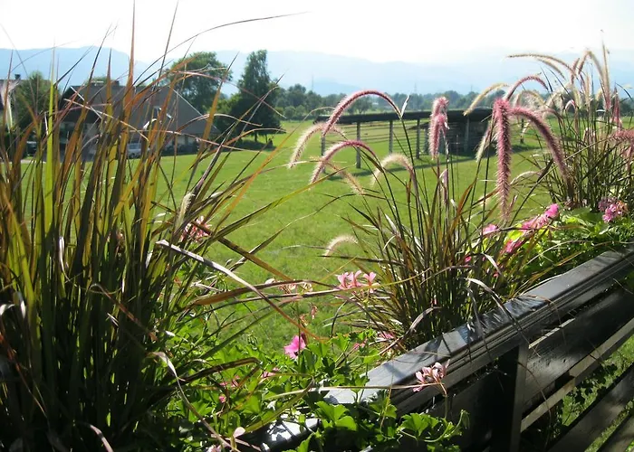 Διαμέρισμα Ladka Begunje na Gorenjskem